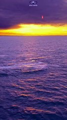 Gran avistamiento de ballenas al amanecer en Las Grutas 🐋🌅