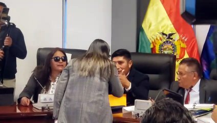 Incidentes en la comisión de Diputados tras instalarse la sesión por un contrato de litio con empresa rusa