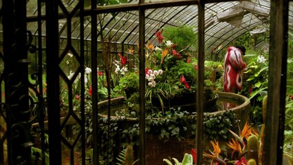 The Fall (2006) | A Visual Masterpiece of Fantasy and Emotion