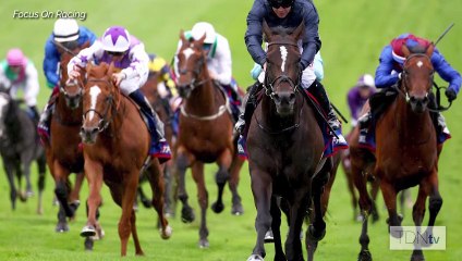 Australia Setting The Bar As He Adds A Dual Derby Winner To His Haul