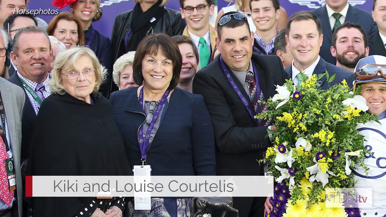 Origin Stories: Raising Good Horses at Town and Country Farms