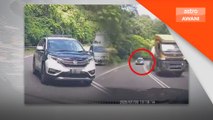 JPJ gantung tugas anggota dirakam potong garisan berkembar