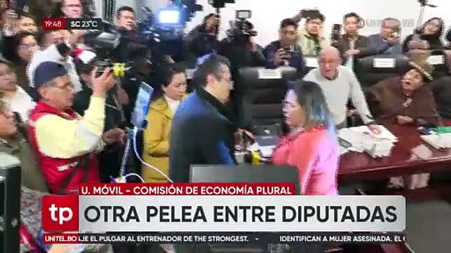 Gritos y empujones en la sesión de comisión de Diputados donde se agendó un contrato de litio con empresa rusa 