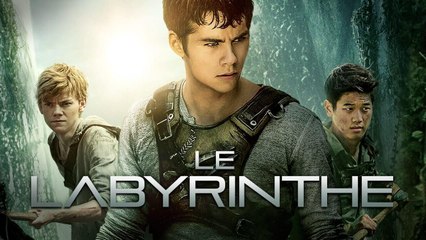 Le Labyrinthe : La Terre brûlée