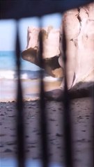 love status nice song, jab se tumko dekha hai