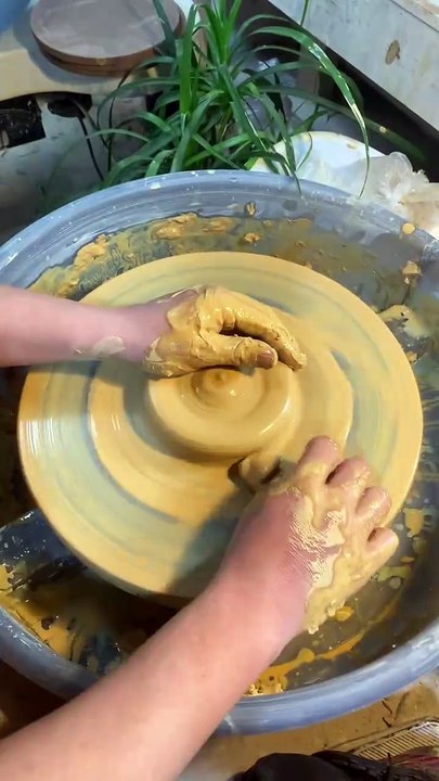 Pottery Basic Beginner Easy Double Flower Mouth Plate