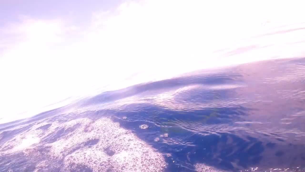 Shark Steals Catch from Spearfisher