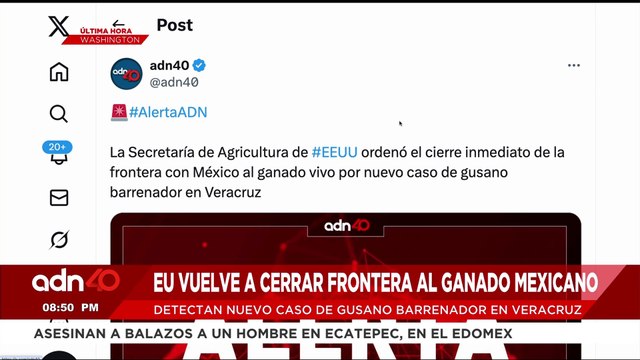🚨¡Última Hora! Por gusano barrenador, EE.UU. vuelve a cerrar frontera al ganado mexicano