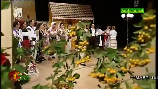 Stelian Hristea - Spune, mandra, ce-i cu tine (Petrecere romaneasca - Tvh - 13.09.2014)