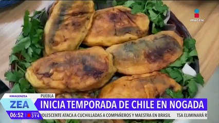 Puebla arrana la temporada de chile en nogada 2025