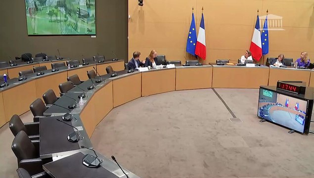 Délégation aux droits des enfants : Modalités du contrôle par l’État et de la prévention des violences dans les établissements scolaires ; Santé mentale des mineurs - Mercredi 9 juillet 2025