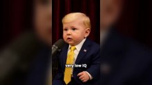 AI Baby Podcast Compilation - Baby Joe Rogan, Trump, Theo Von and more!