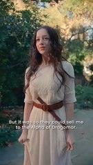 The Alpha’S Breeder - New Drama