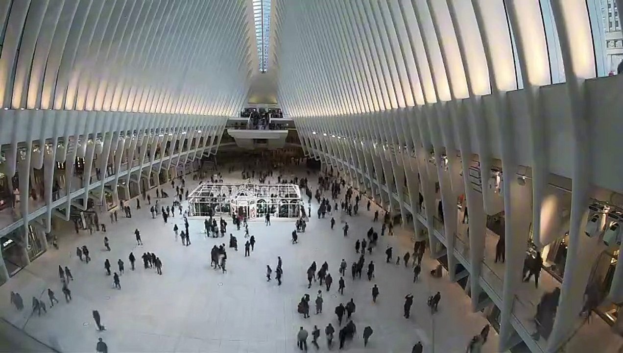 New York, USA 🇺🇸  N•32