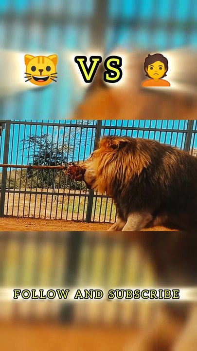 mrbeast english videos challenges