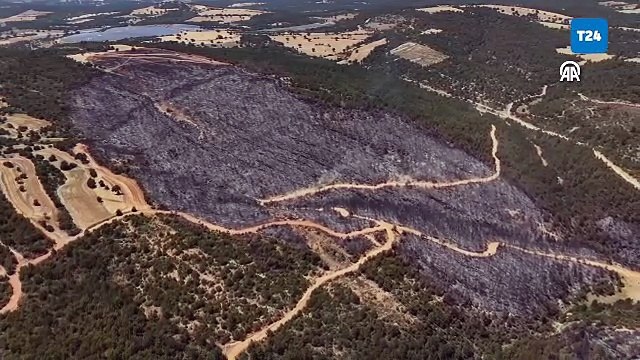 Uşak ve Manisa çıkan orman yangınları kontrol altına alındı