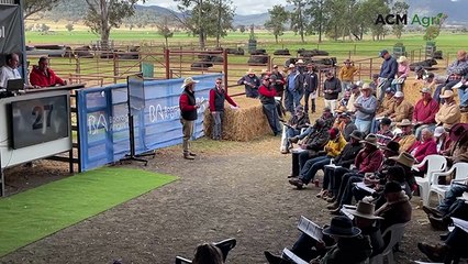 Booragul Angus sale delivers for both premium and budget buyers