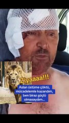 Siz bir de aslanın halini görün