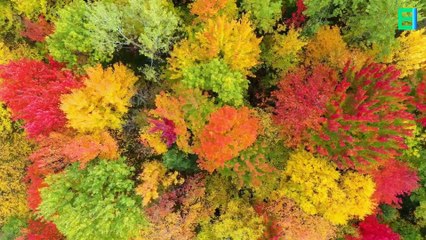 20 Facts about Canada - Need to Know [4K UHD]