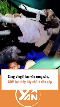 Sang Vlog nói bị lạc trong rừng nhưng CĐM soi ra chỉ là dàn dựng