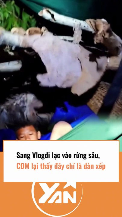 Sang Vlog nói bị lạc trong rừng nhưng CĐM soi ra chỉ là dàn dựng