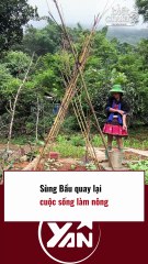 Sùng Bầu quay trở lại cuộc sống làm nông