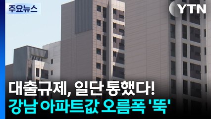 대출규제, 일단 통했다!...강남 아파트값 오름폭 '뚝' / YTN