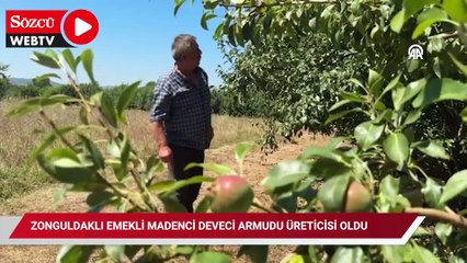 Zonguldaklı emekli madenci Deveci armudu üreticisi oldu