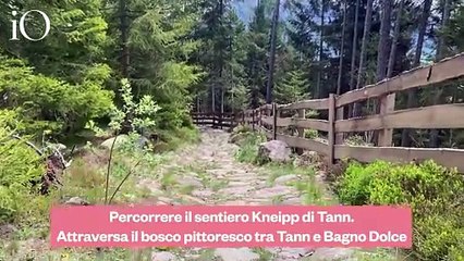 Viaggio in Renon: dalle Piramidi di Terra all’apiterapia