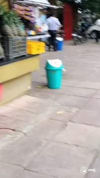 Bustling shops, lively vibes, and urban energy await! #StreetVibes #UrbanAdventure #LocalLife #CityPulse