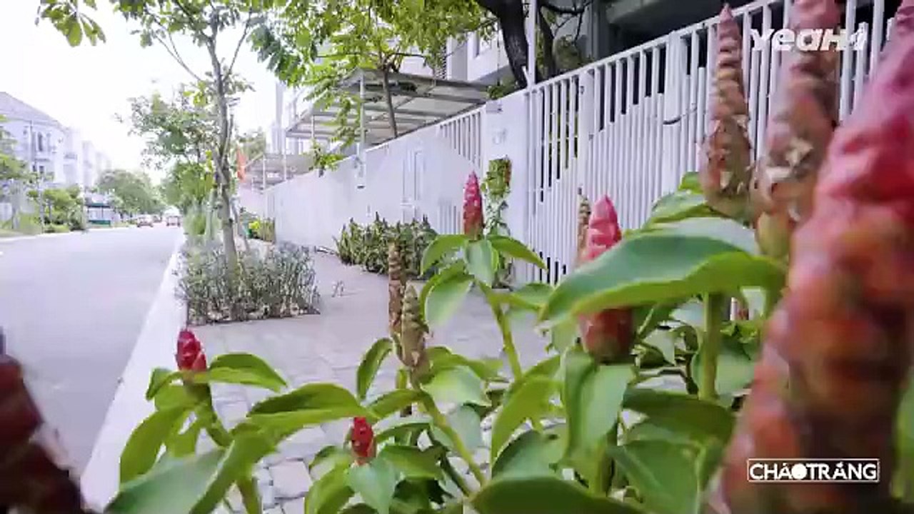 GẶP NẠN NẰM VIỆN, ĐÒI NỢ BẠN THÂN !!! _ Cháo Trắng _ Phim Việt Nam 2025