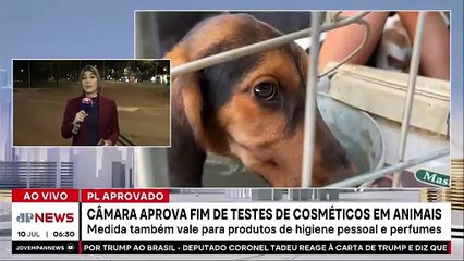 Câmara aprova fim dos testes em animais para cosméticos e perfumes