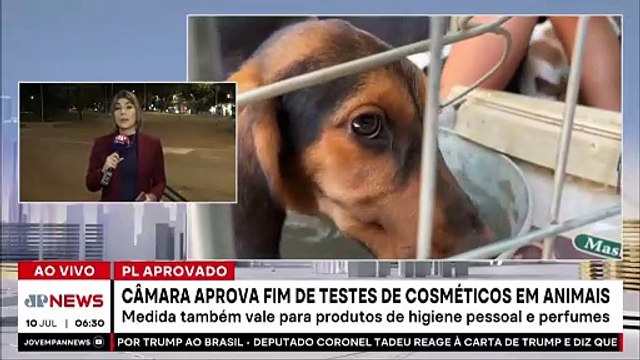 Câmara aprova fim dos testes em animais para cosméticos e perfumes