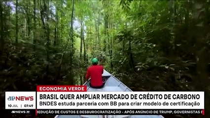 Brasil quer ampliar mercado de crédito de carbono