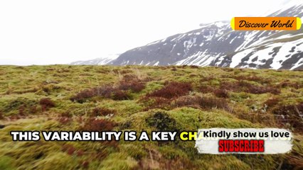 Why Iceland Has No Mosquitoes Geography Facts-1