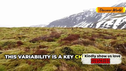 Why Iceland Has No Mosquitoes Geography Facts