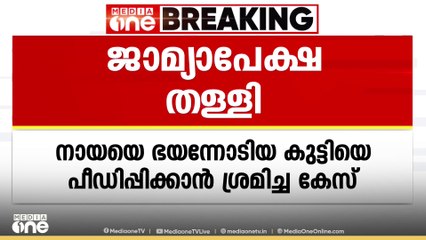 തെരുവുനായ ആക്രമണത്തിൽനിന്ന് രക്ഷപെട്ടോടിയ കുട്ടിയെ പീഡിപ്പിക്കാൻ ശ്രമം; പ്രതിയുടെ ജാമ്യാപേക്ഷ തള്ളി