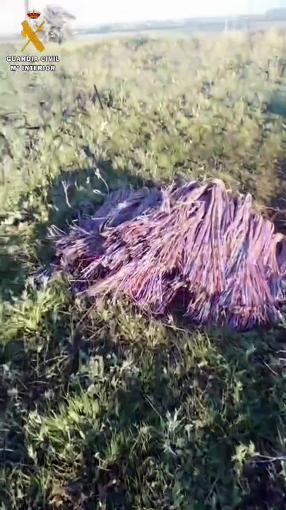 Robo de cable en Valladolid