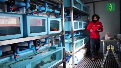 Chile fortalece su rol en la Base Escudero durante el primer invierno polar de la Antártida