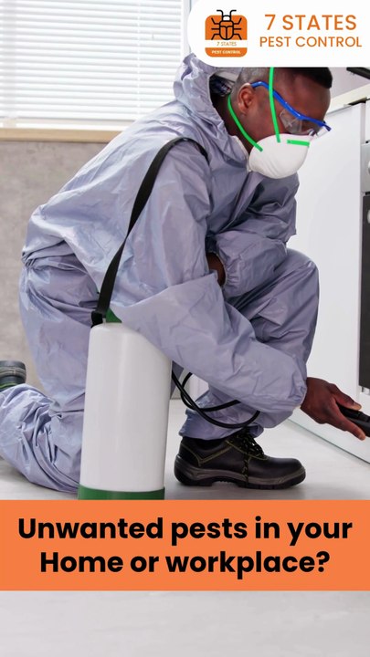 Effective Pest Removal in Melbourne | 7 States Pest Control