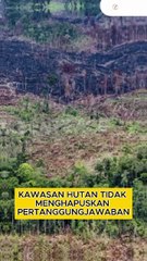 Perambah TNTN Tak Ditahan, Pengacara Ini Soroti Penerapan Ultimum Remedium