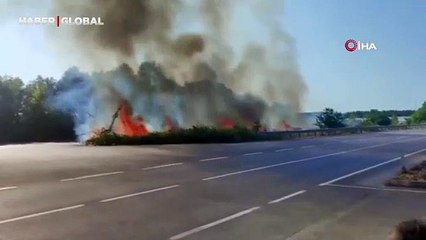 Sakarya’da otluk alanda korkutan yangın