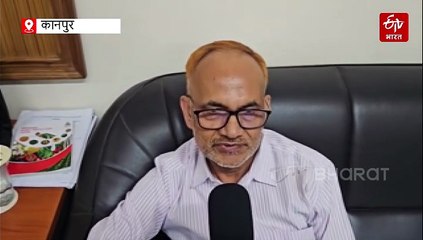 कन्नौज से लेकर मैनपुरी तक की अब पहचान बनेगा मक्का, सीएसए विवि के वैज्ञानिकों ने तैयार की खास फसल