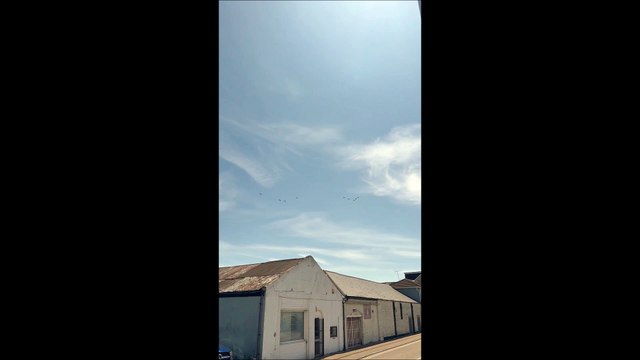 Watch the Red Arrows fly over Littlehampton