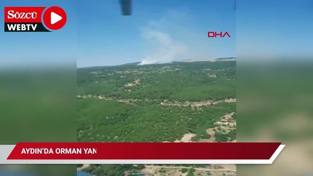 Aydın’da orman yangını