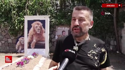 Ankara'da öldürülen aslanın sahibi evinin önüne temsili mezar yaptırdı