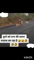 wait till end 😂🔚