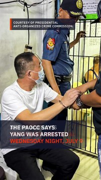 Tony Yang, brother of ex-Duterte adviser Michael Yang, arrested