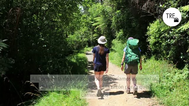 A la pregunta de cuántos pasos deberíamos caminar al día la respuesta depende de la razón por la que caminamos