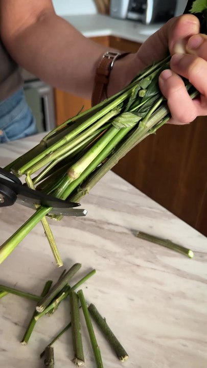 The Trick to Making Your Bouquet Last Longer